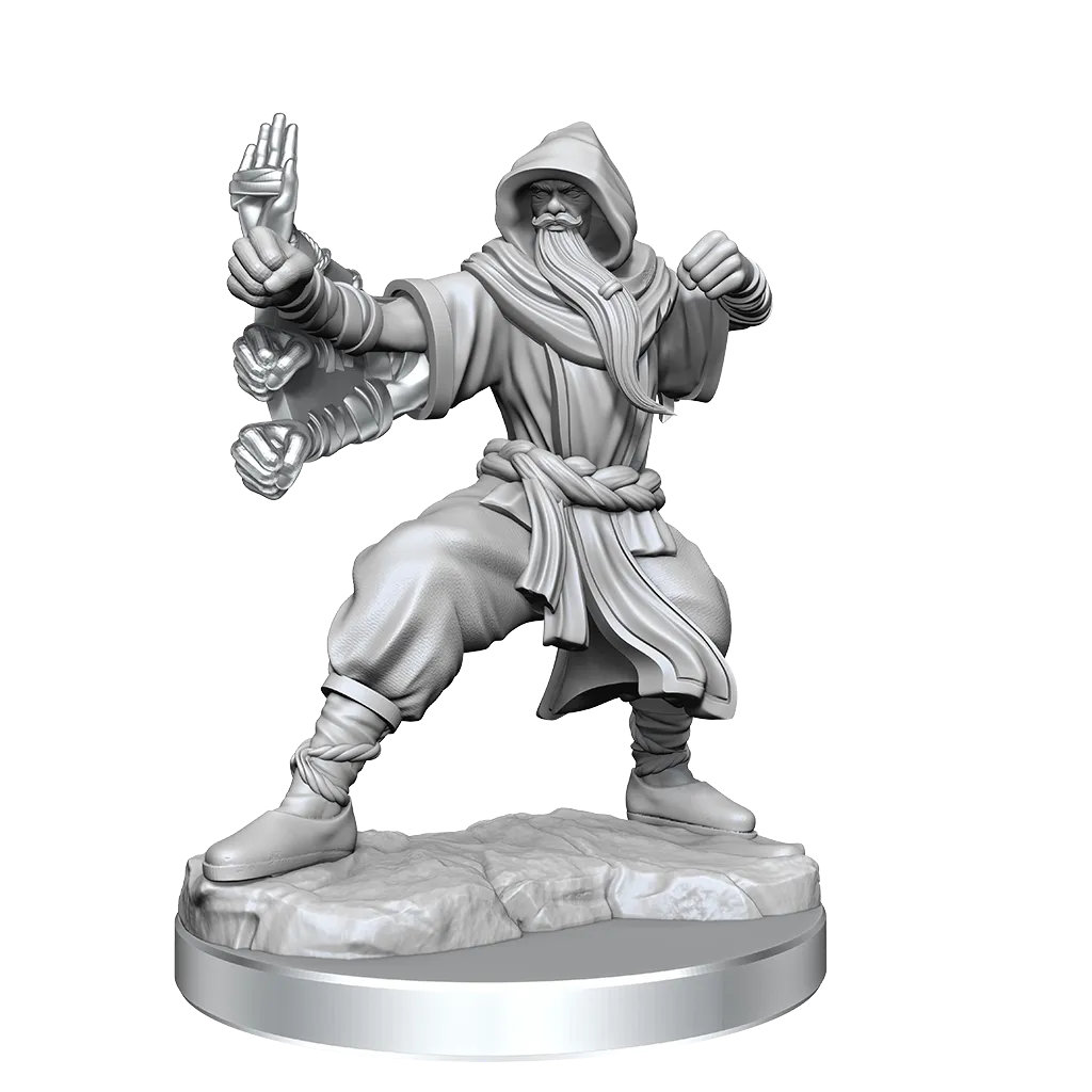 Human Monk He/Him - D&D Frameworks