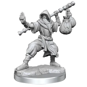 Human Monk He/Him - D&D Frameworks