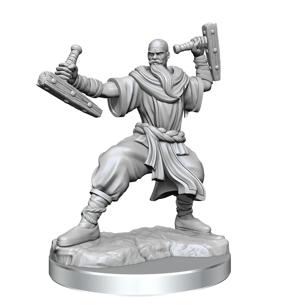 Human Monk He/Him - D&D Frameworks