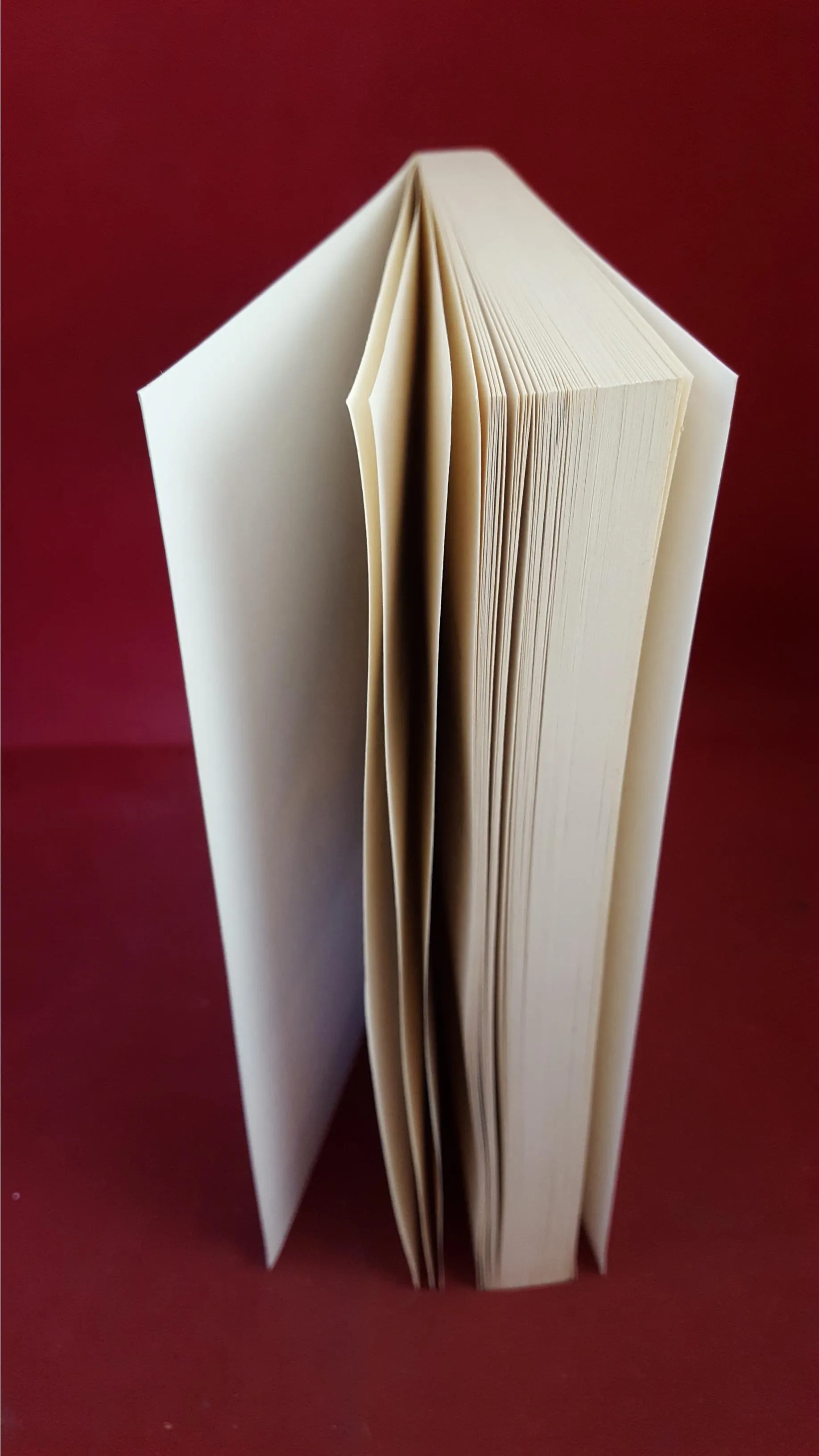 John Polidori - The Vampyre and Other Tales of the Macabre, Oxford, 2008