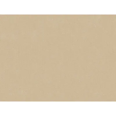 Oxford Velvet-Sand