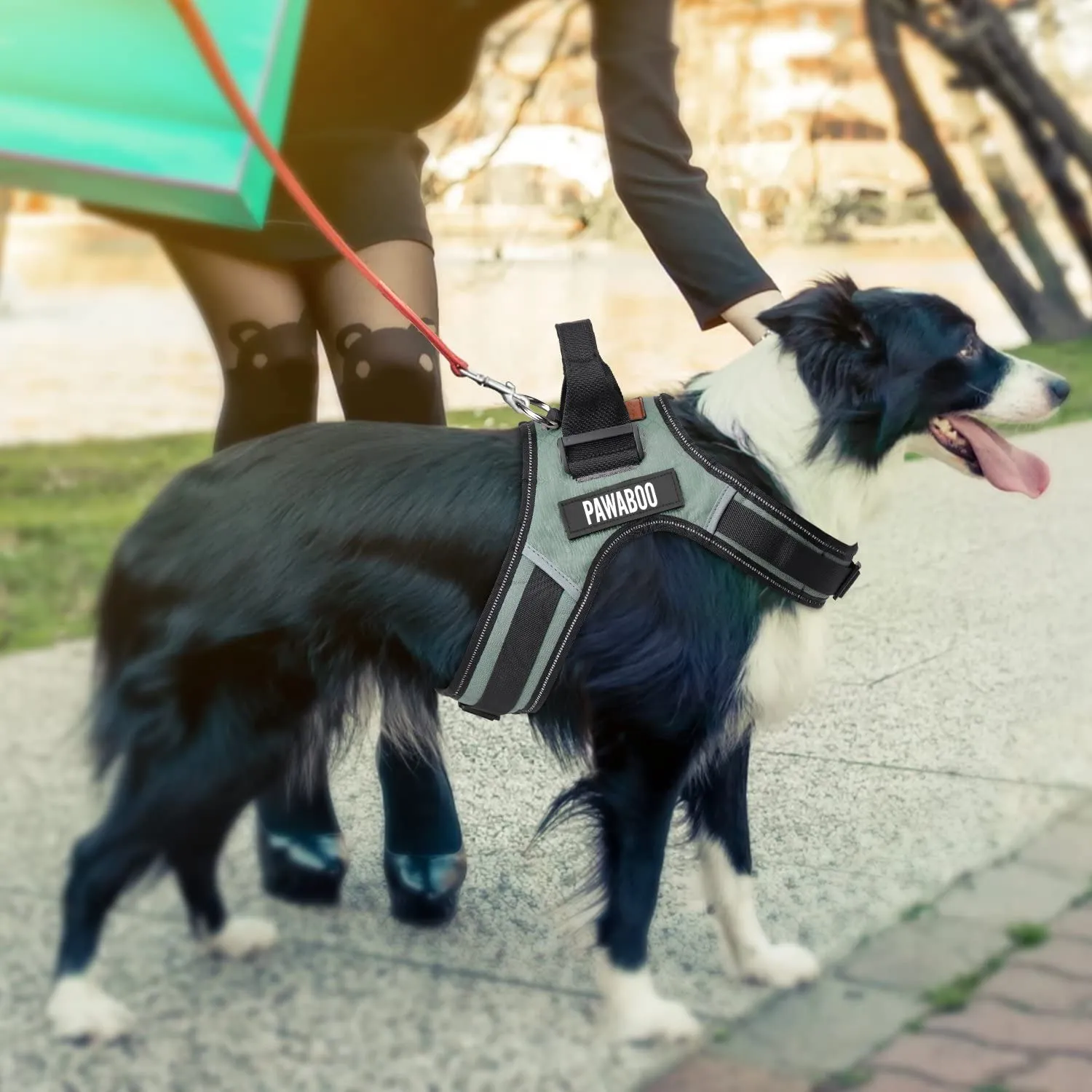 Pawaboo Dog Vest Pet Harness, Adjustable Durable Heavy Duty Soft Padded Reflective Dog Vest Harness with Handle on Top for Pet Dog Training Walking, Hook and Loop Closure, Medium Size