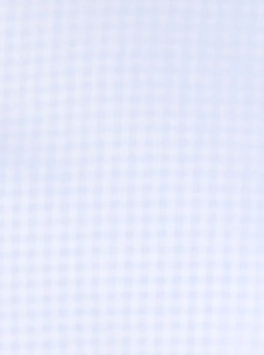 Sky Blue Checked Regular Fit Formal Shirt | JadeBlue