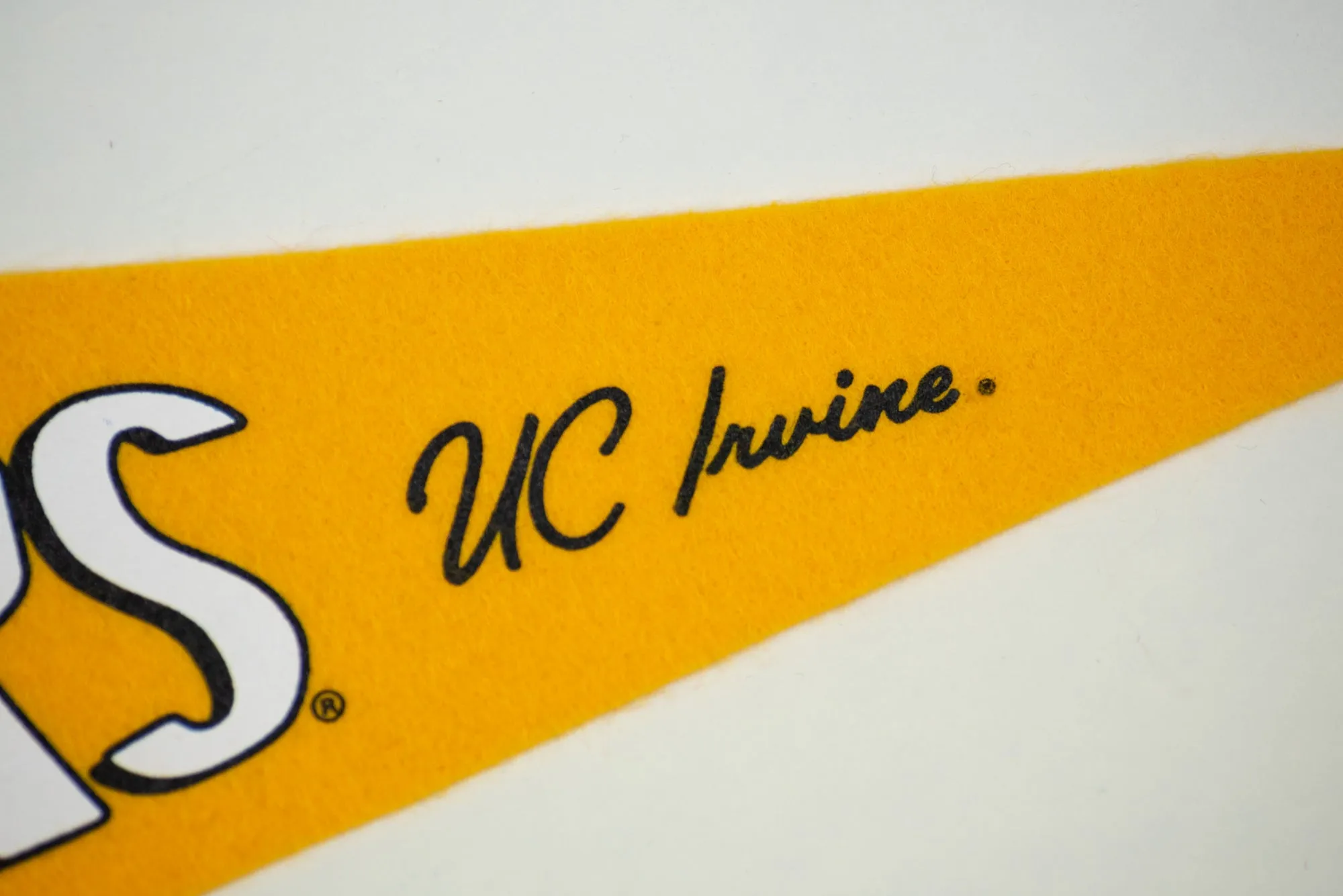 Surf's Up UC Irvine Anteaters Pennant