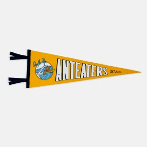 Surf's Up UC Irvine Anteaters Pennant