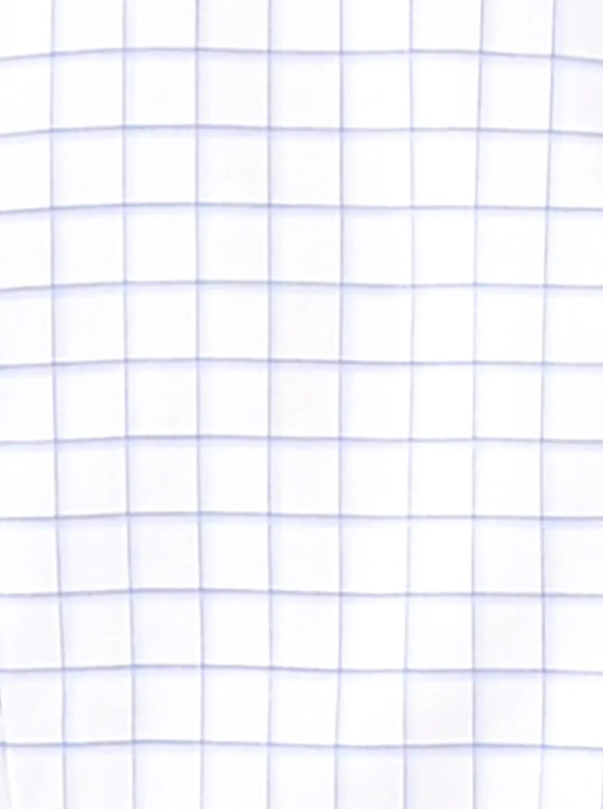 White & Blue Checked Slim Fit Formal Shirt | JadeBlue